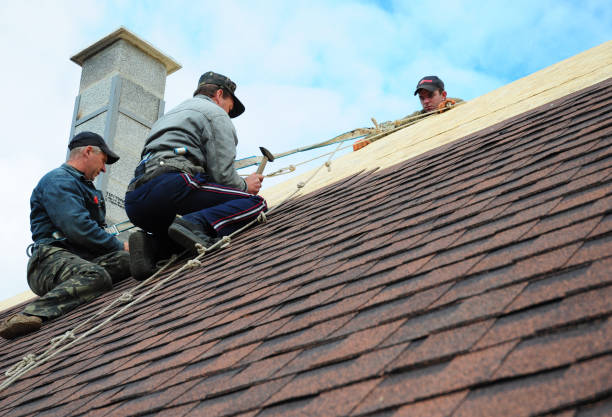 Best Residential Roofing Contractor  in Buena, NJ